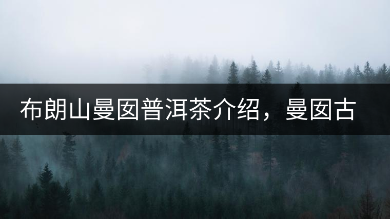 布朗山曼囡普洱茶介紹，曼囡古樹茶口感特點