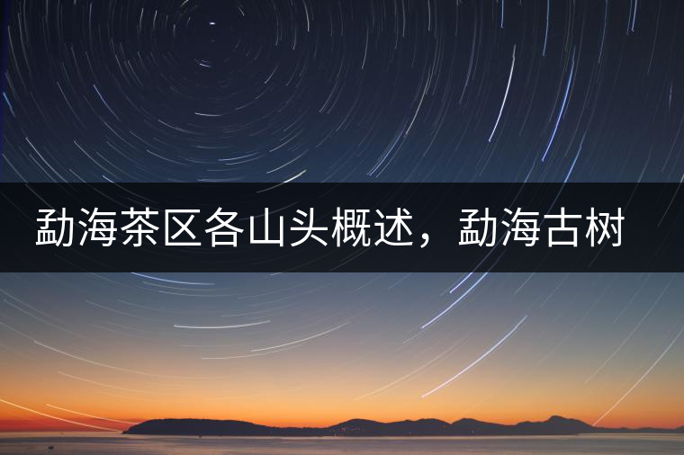 勐海茶區(qū)各山頭概述，勐海古樹茶口感特點(diǎn)