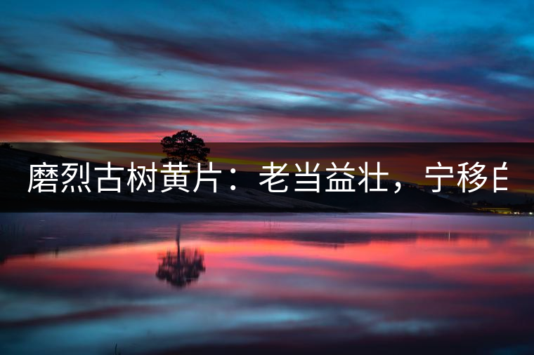 磨烈古樹黃片：老當(dāng)益壯，寧移白首之心！