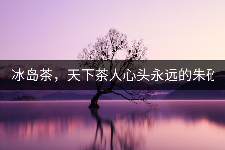 冰島茶，天下茶人心頭永遠的朱砂痣！