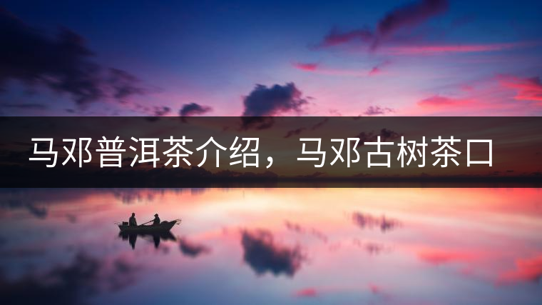 馬鄧普洱茶介紹，馬鄧古樹(shù)茶口感特點(diǎn)