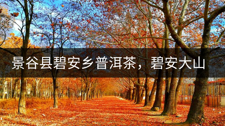 景谷縣碧安鄉(xiāng)普洱茶，碧安大山古樹茶口感特點(diǎn)