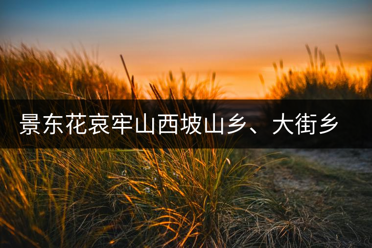 景東花哀牢山西坡山鄉(xiāng)、大街鄉(xiāng)、太忠鄉(xiāng)、龍街鄉(xiāng)普洱茶，哀牢山西坡古樹茶口