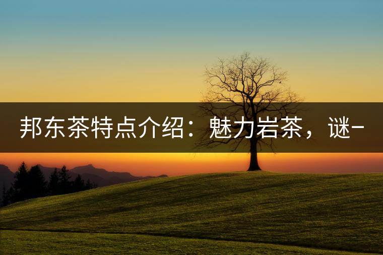 邦東茶特點(diǎn)介紹：魅力巖茶，謎一樣的邦東！