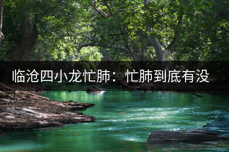 臨滄四小龍忙肺：忙肺到底有沒有古樹？