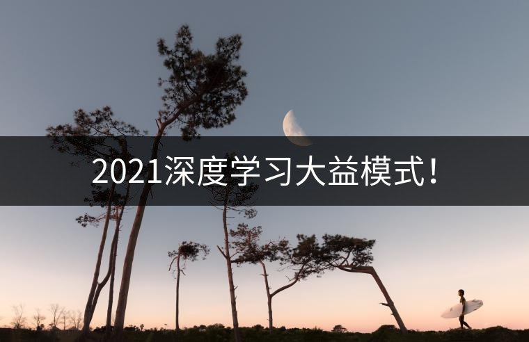 2021深度學(xué)習(xí)大益模式！