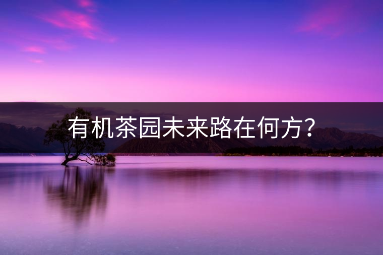 有機(jī)茶園未來(lái)路在何方？