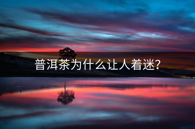 普洱茶為什么讓人著迷？