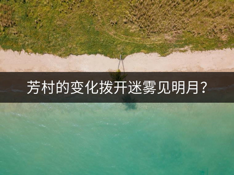 芳村的變化撥開迷霧見明月？