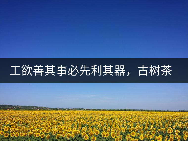 工欲善其事必先利其器，古樹茶用什么茶器最好？