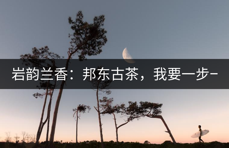 巖韻蘭香：邦東古茶，我要一步一步往上爬！