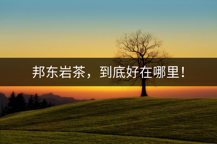 邦東巖茶，到底好在哪里！