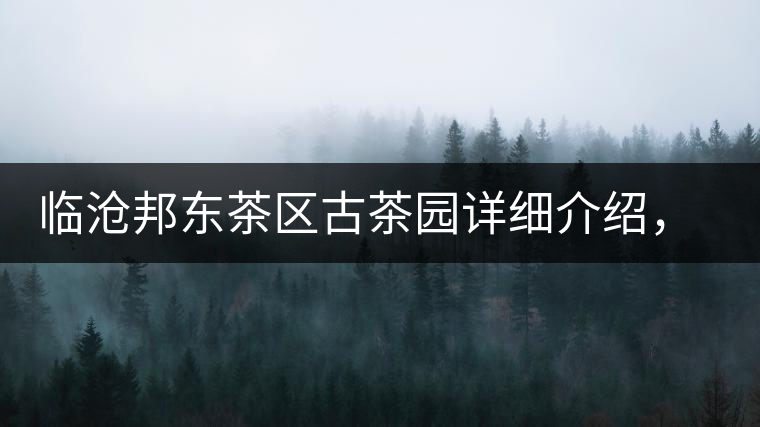 臨滄邦東茶區(qū)古茶園詳細介紹，邦東古樹茶特點