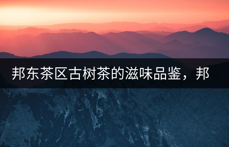 邦東茶區(qū)古樹(shù)茶的滋味品鑒，邦東普洱茶特點(diǎn)