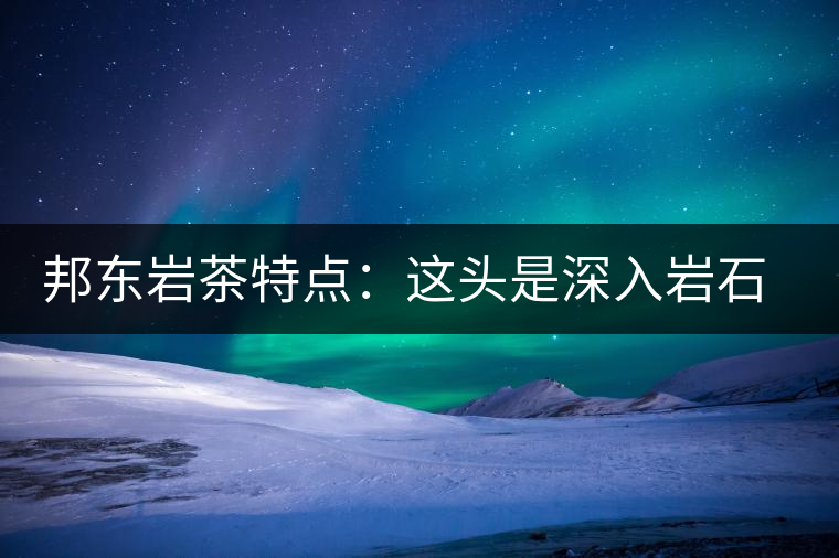邦東巖茶特點：這頭是深入巖石的根，那頭是臨風(fēng)飄香的古韻