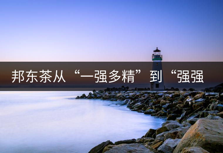 邦東茶從“一強(qiáng)多精”到“強(qiáng)強(qiáng)聯(lián)手”，是山頭茶未來的發(fā)展格局！