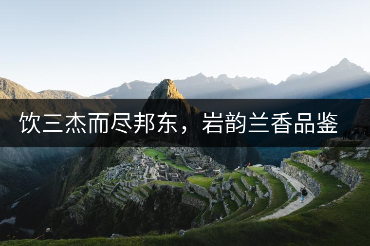 飲三杰而盡邦東，巖韻蘭香品鑒：生于山石上，韻味正當(dāng)