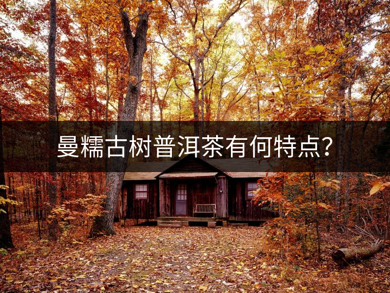 曼糯古樹普洱茶有何特點(diǎn)？
