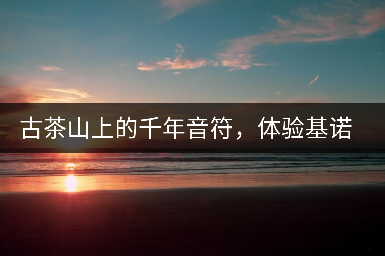 古茶山上的千年音符，體驗基諾山寨