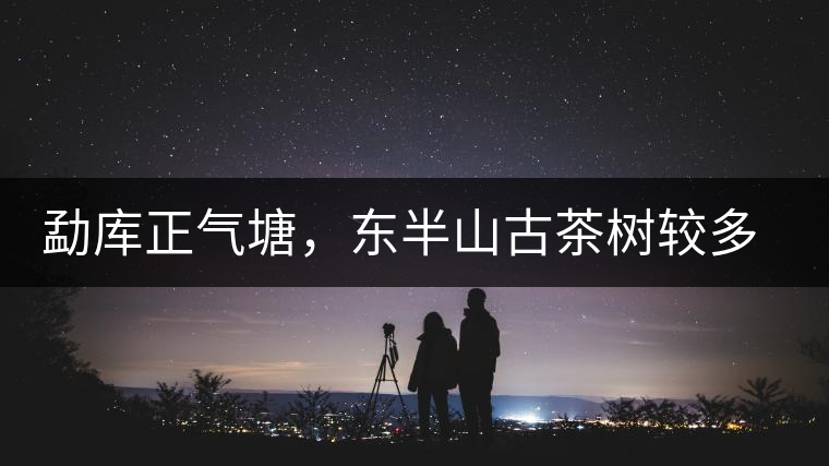 勐庫正氣塘，東半山古茶樹較多的寨子