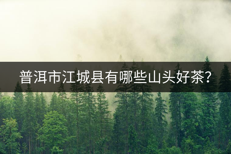 普洱市江城縣有哪些山頭好茶？