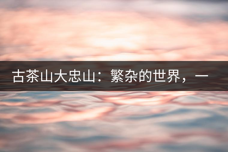 古茶山大忠山：繁雜的世界，一杯就夠了