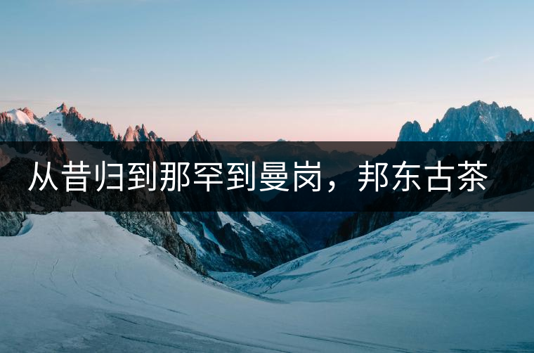 從昔歸到那罕到曼崗，邦東古茶藏著一條規(guī)律！