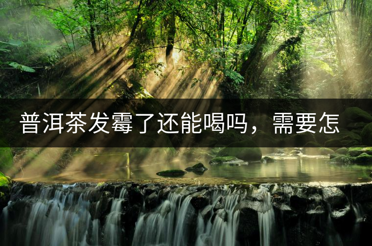 普洱茶發(fā)霉了還能喝嗎，需要怎么處理？