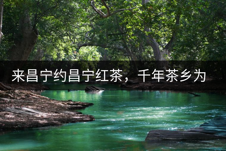 來昌寧約昌寧紅茶，千年茶鄉(xiāng)為您開啟生態(tài)之旅