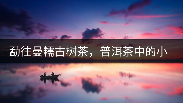 勐往曼糯古樹(shù)茶，普洱茶中的小班章