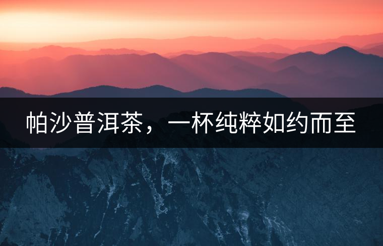 帕沙普洱茶，一杯純粹如約而至