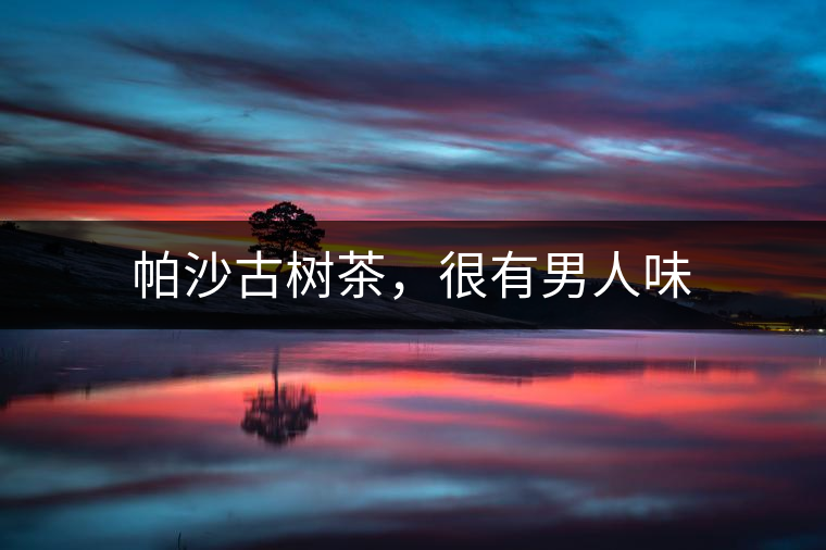 帕沙古樹(shù)茶，很有男人味