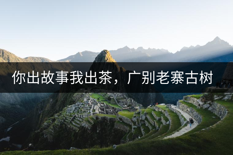 你出故事我出茶，廣別老寨古樹妖茶