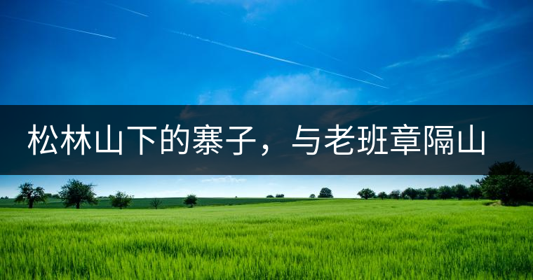 松林山下的寨子，與老班章隔山相望的廣別老寨