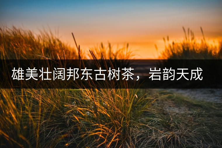 雄美壯闊邦東古樹茶，巖韻天成甘香鮮靈