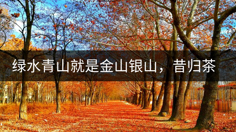 綠水青山就是金山銀山，昔歸茶農(nóng)唱著“茶歌”奔小康