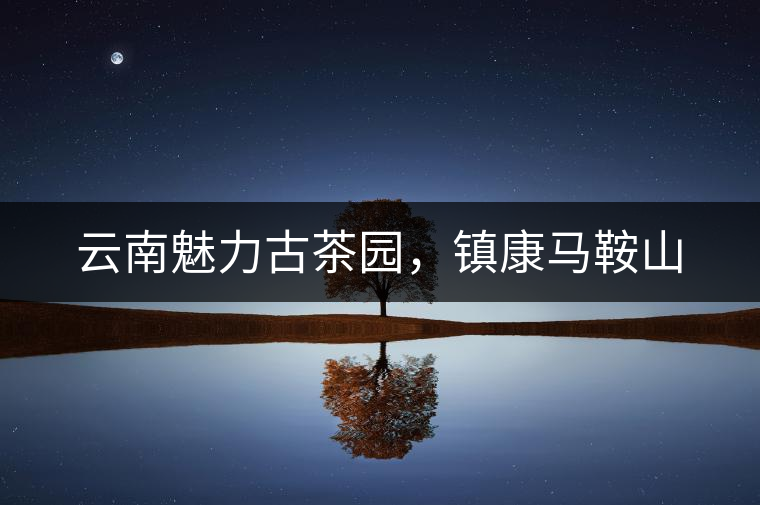 云南魅力古茶園，鎮(zhèn)康馬鞍山