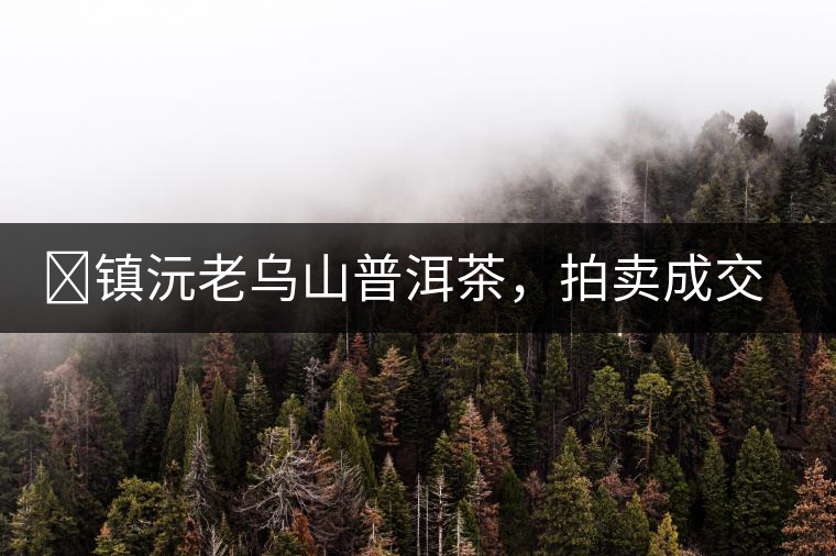 ?鎮(zhèn)沅老烏山普洱茶，拍賣成交價(jià)再創(chuàng)新高