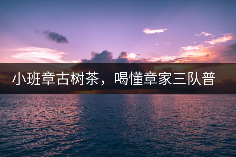 小班章古樹茶，喝懂章家三隊普洱茶