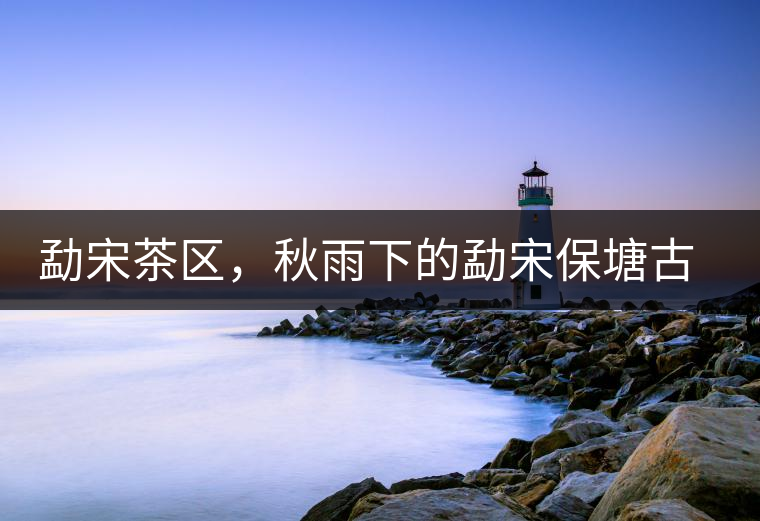 勐宋茶區(qū)，秋雨下的勐宋保塘古茶園