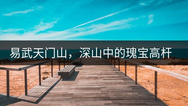 易武天門(mén)山，深山中的瑰寶高桿古樹(shù)