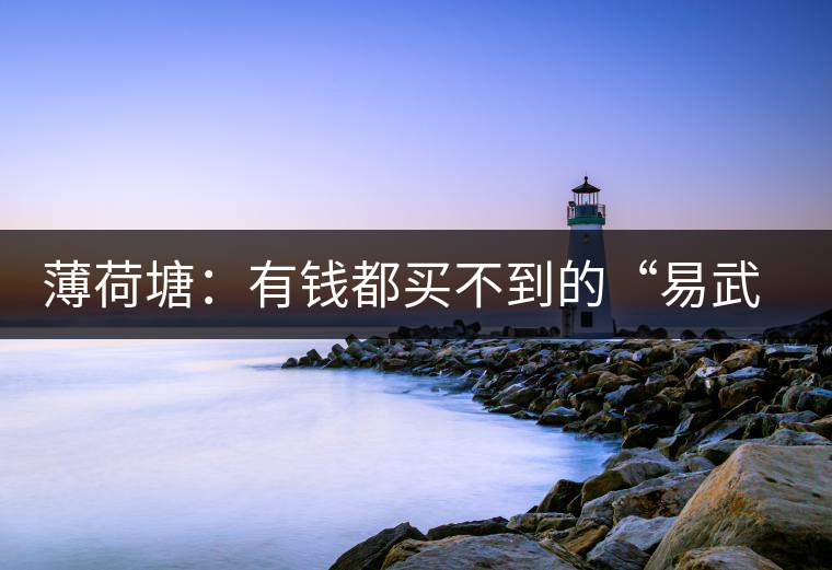 薄荷塘：有錢都買不到的“易武貴胄”，卓爾不群，無茶可及