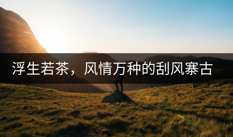 浮生若茶，風(fēng)情萬種的刮風(fēng)寨古樹茶