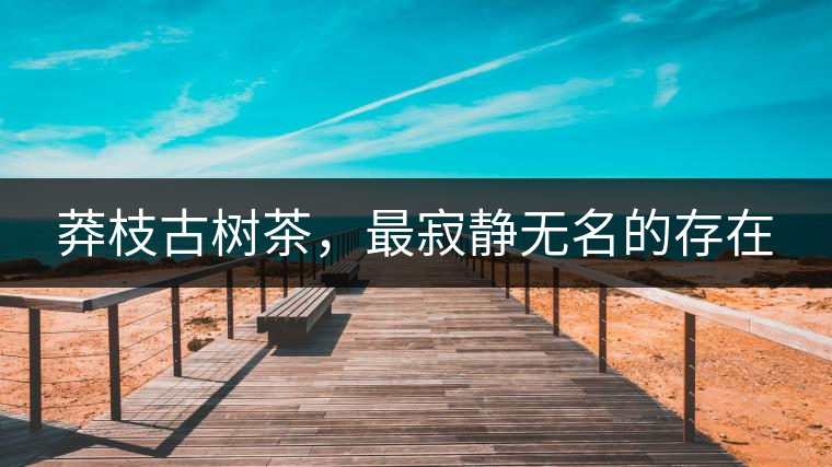 莽枝古樹茶，最寂靜無名的存在