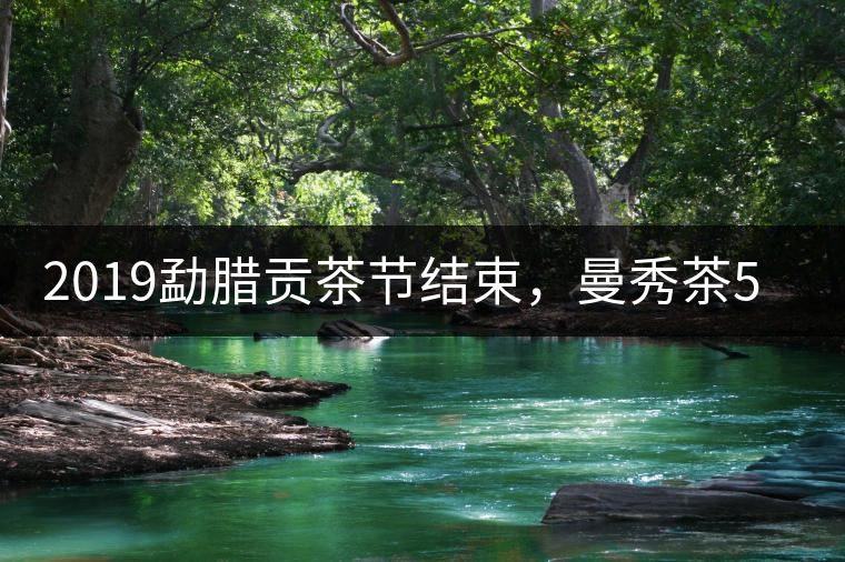 2019勐臘貢茶節(jié)結(jié)束，曼秀茶5公斤107萬(wàn)奪得金獎(jiǎng)