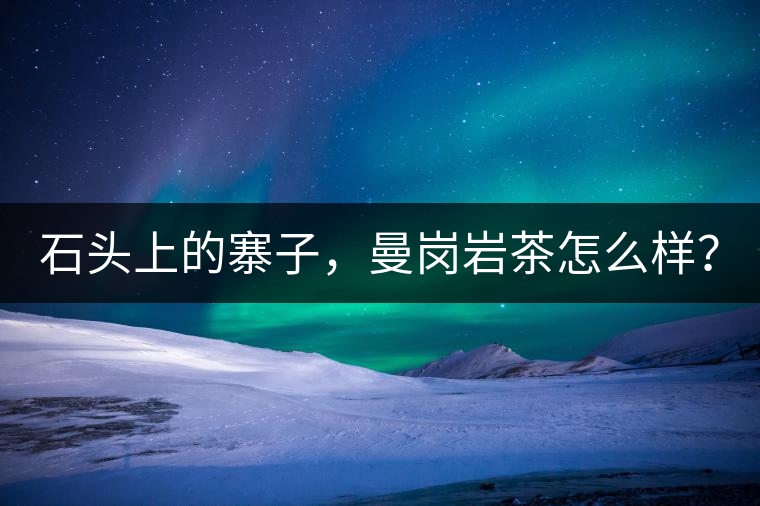 石頭上的寨子，曼崗巖茶怎么樣？