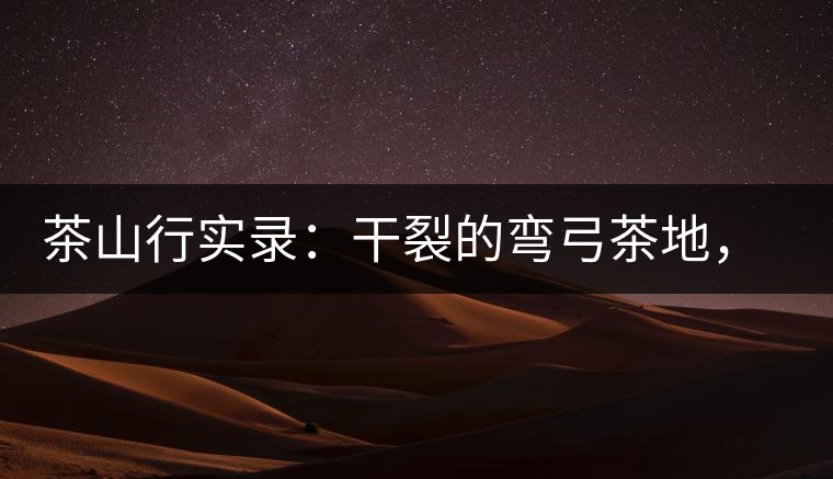 茶山行實錄：干裂的彎弓茶地，干旱減產(chǎn)已成定局