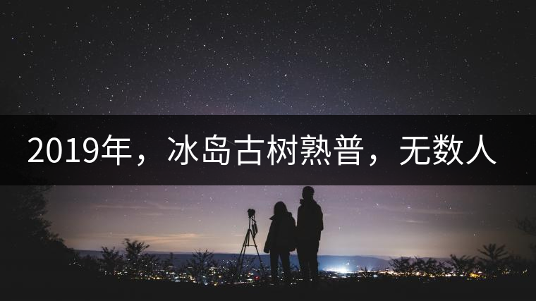 2019年，冰島古樹(shù)熟普，無(wú)數(shù)人在尋找