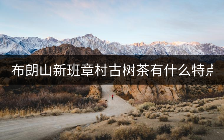 布朗山新班章村古樹茶有什么特點？