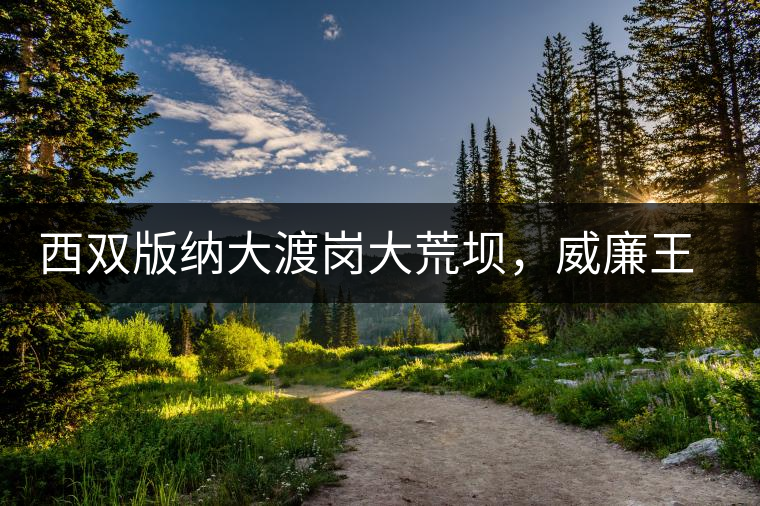 西雙版納大渡崗大荒壩，威廉王子曾經(jīng)到過(guò)的古樹茶山